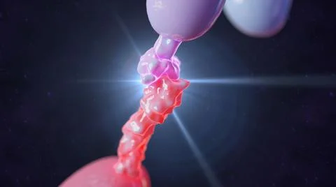 3D rendering of PD-1 and PD-1L molecules binding Stock Illustration