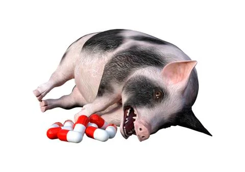 3D Rendering Pig and Pills on White Illustrazione stock