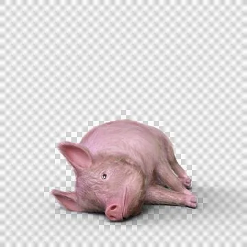3D rendering of a pig laying on his side isolated on a transparent background Stock Illustration