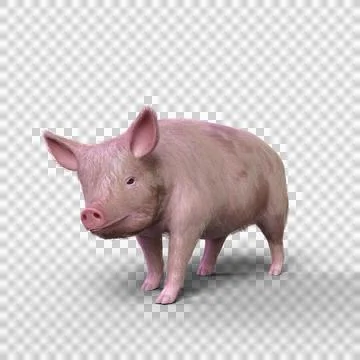 3D rendering of a pig walking isolated on a transparent background. Stock Illustration