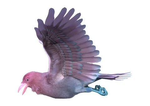 3D Rendering Pink Crow on White Stock Illustration