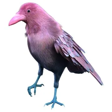 3D Rendering Pink Crow on White Illustrazione stock