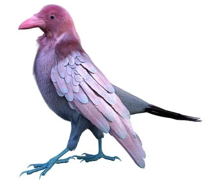 3D Rendering Pink Crow on White Illustrazione stock