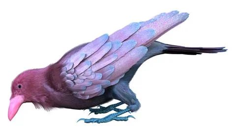 3D Rendering Pink Crow on White Illustrazione stock