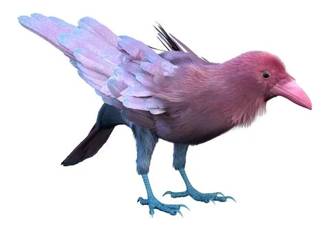 3D Rendering Pink Crow on White Illustrazione stock