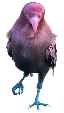 3D Rendering Pink Crow on White Stock Illustration