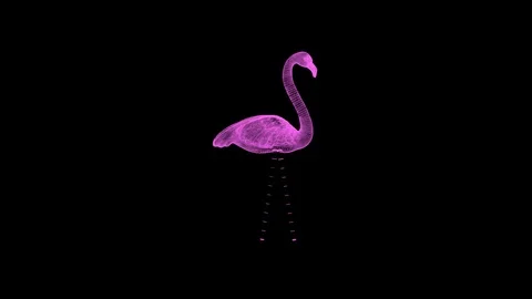 3d rendering pink flamingo wireframe high poly mesh Stock Footage 106272654