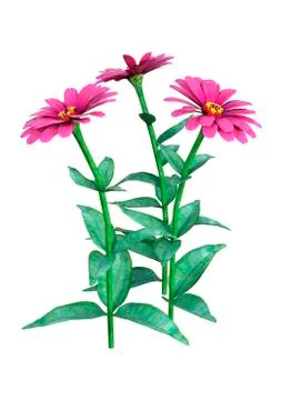 3D Rendering Pink Gerbera Flowers on White Illustrazione stock