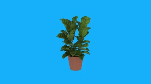 3D rendering of a plant in a brown pot against a blue background Stockbeeldmateriaal 303859806