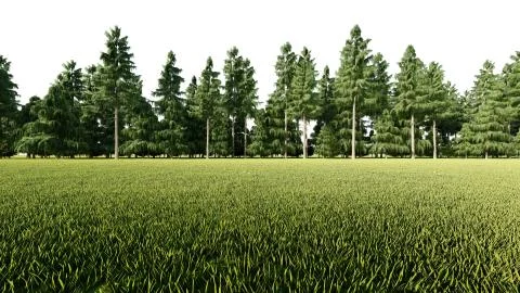 3d rendering of a plants row for architectrural background use isolated Stock Illustration