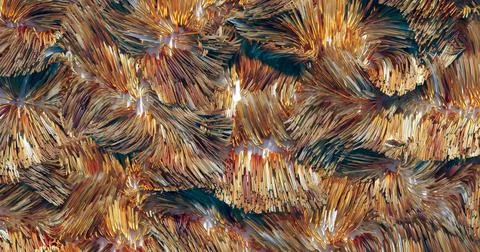 3d rendering. Plastic tubes measuring natural fur. Graphic background. Stock Illustration