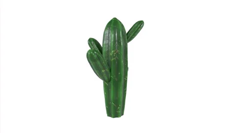 3D rendering of a playful inflatable cactus in a sunny desert setting Stock Footage 284220482
