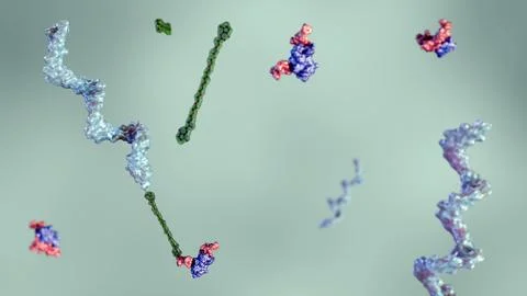 A 3d rendering of POC is chemically attached to a small protein Stock Illustration