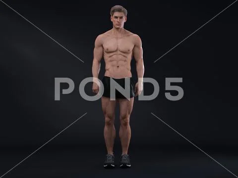 3D Rendering : Portrait of standing male mesomorph (muscular) body