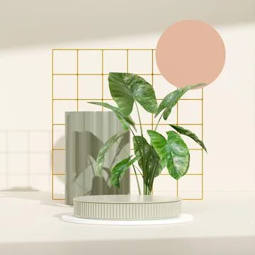 3D rendering product display podium with a plant a circle a rectangle in the gri Stock Illustration