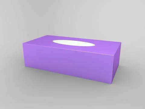 3D Rendering Product Packaging Template Stock Illustration