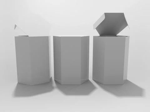 3D Rendering Product Packaging Template Stock Illustration