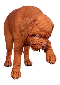 3D Rendering Puppy on White Stock Illustration