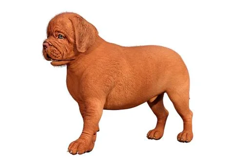 3D Rendering Puppy on White Stock Illustration