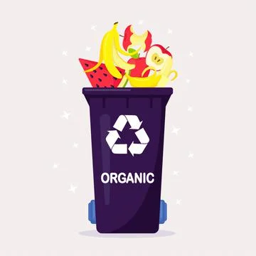 3d rendering of a purple recycling bin filled with fruits isolated on a white Stock Illustration