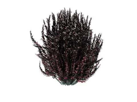 3d rendering of a realistic flower bush isolated on white Illustrazione stock