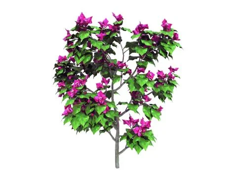 3d rendering of a realistic flower bush isolated on white Stock Illustration