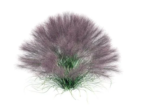 3d rendering of a realistic flower bush isolated on white Stock Illustration