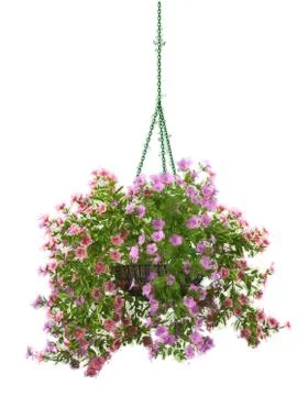 3d rendering of a realistic flower pot isolated on white Stock Illustration