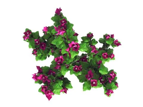 3d rendering of a realistic green top view flower bush isolated on white Illustrazione stock