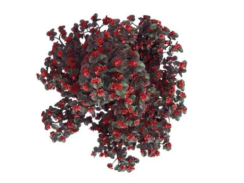 3d rendering of a realistic green top view flower bush isolated on white 스톡 일러스트
