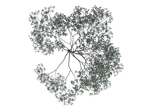 3d rendering of a realistic green top view tree isolated on white Stock Illustration