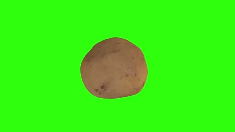 3D rendering of a realistic potato on a green background Stock Footage 287985999