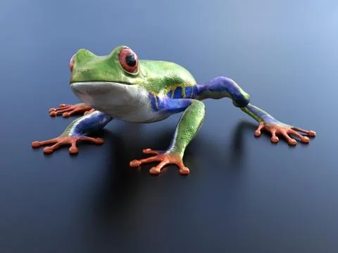 3D rendering of a realistic red-eyed tree frog. Stock Illustration