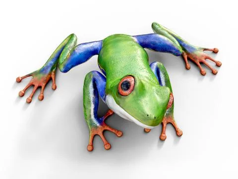 3D rendering of a realistic red-eyed tree frog. Illustrazione stock