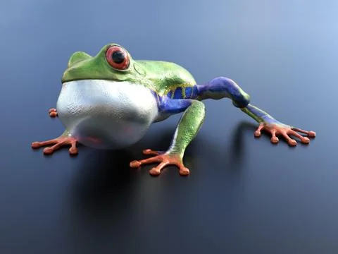 3D rendering of a realistic red-eyed tree frog. Stock Illustration