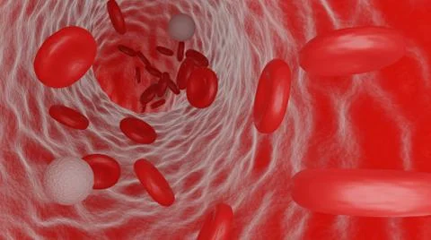 3D rendering of red and white blood cells flowing through a vein. Stock Illustration