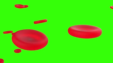 3D Rendering of Red Blood Cells Floating on Green Screen Stock Footage 154715003