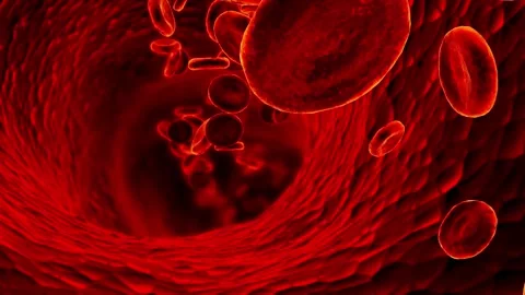 3D rendering red blood cells in an artery, Arterial bloodflow flow inside body, Vidéo 334589066