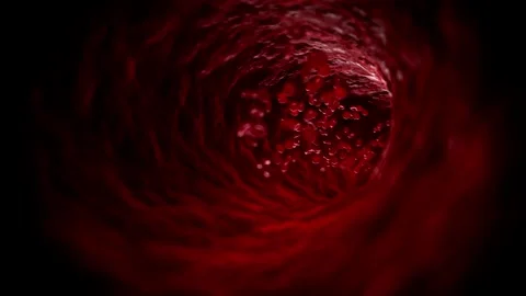 3D rendering red blood cells in an artery, Arterial bloodflow flow inside body, Vídeo Stock 334589100