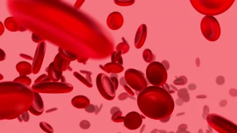 3D rendering red blood cells in an artery, Arterial bloodflow flow inside body, Vídeo Stock 334589148