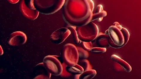 3D rendering red blood cells in an artery, Arterial bloodflow flow inside body, Vídeo Stock 334589167
