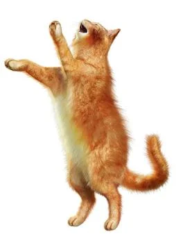 3D Rendering Red Cat on White Stock Illustration