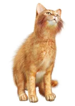 3D Rendering Red Cat on White Stock Illustration