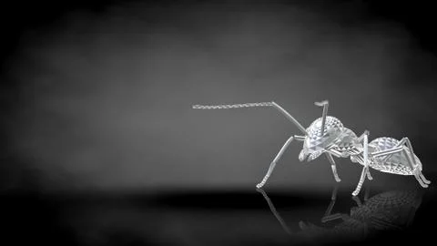 3d rendering of a reflective ant on a dark black background Stock Illustration