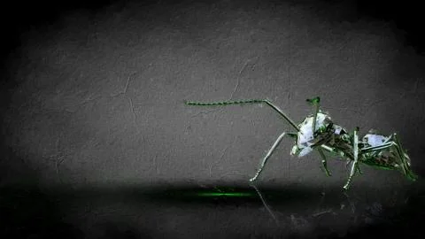 3d rendering of a reflective ant on a dark black background Stock Illustration