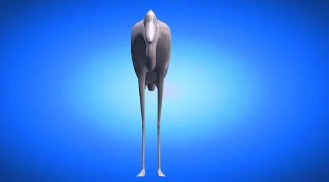 3d rendering of a reflective bird with long legs Stock Illustration