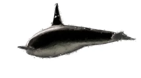 3d rendering of a reflective dolphine animal on a background Stock Illustration
