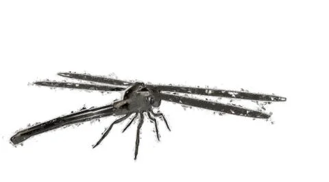 3d rendering of a reflective dragonfly insect flying in the air Stock Illustration