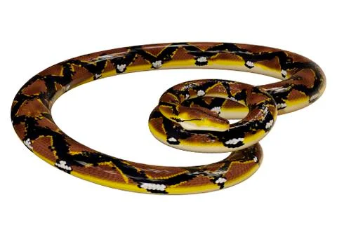 3D Rendering Reticulated Python on White Stock-Illustration