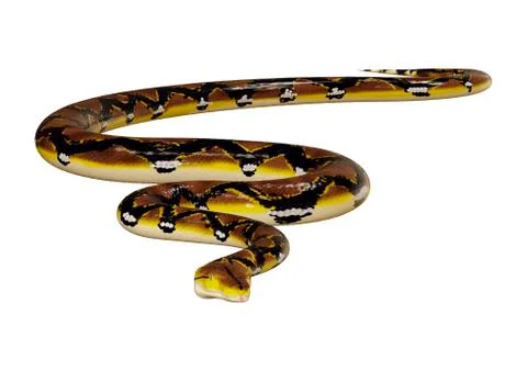 3D Rendering Reticulated Python on White Stock Illustration